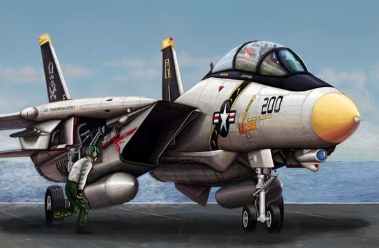 1/144 F-14 A Tomcat