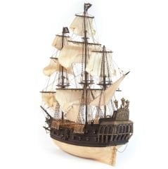 Cisne Negro 1/75