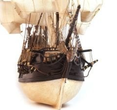 Cisne Negro 1/75