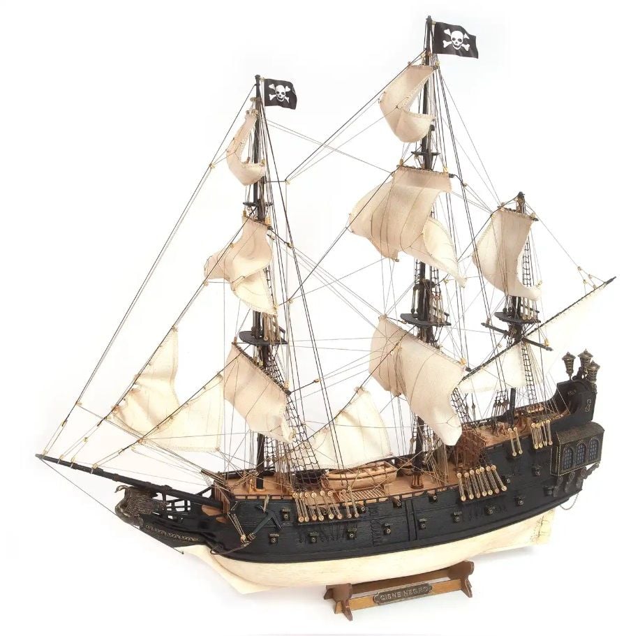 Cisne Negro 1/75