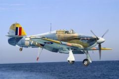 1/48 SEA Hurrıcane