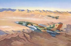 1/48 Mig-23ML Flogger-G