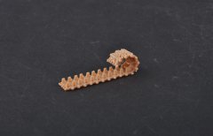 1/35 Rus. 2S1 SPH Workable Track Links