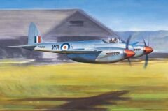 1/48 De Havilland  Hornet F,1