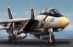 1/144 F-14 A Tomcat