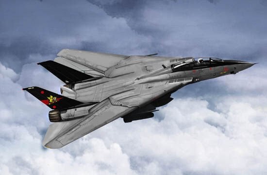 1/144 F-14 B Tomcat