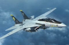 1/144 F-14 D Tomcat