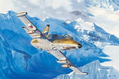 1/48 L-39ZA Albatro