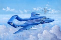 1/48 de Havilland DH.110 Dea Vixen Faw 2